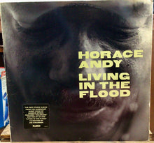 Cargar imagen en el visor de la galería, Horace Andy – Living In The Flood