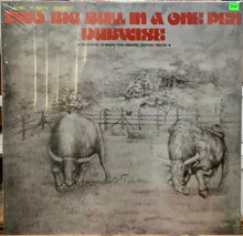Cargar imagen en el visor de la galería, King Tubby's – Two Big Bull In A One Pen Dubwise