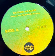 Cargar imagen en el visor de la galería, Hayvanlar Alemi – Visions Of A Psychedelic Ankara