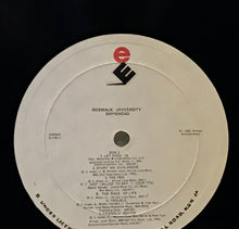 Cargar imagen en el visor de la galería, Shinehead – Sidewalk University