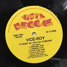Cargar imagen en el visor de la galería, Vice-Roy– It Won't Be This Way Forever