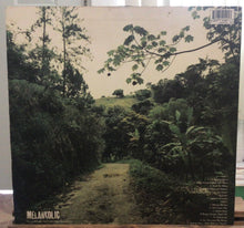 Cargar imagen en el visor de la galería, Horace Andy – Skylarking