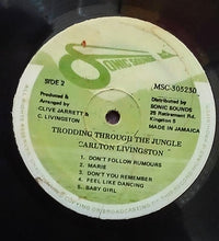 Cargar imagen en el visor de la galería, Carlton Livingston – Trodding Through The Jungle
