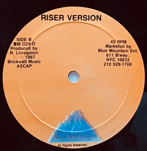 John Holt – She Is A Riser