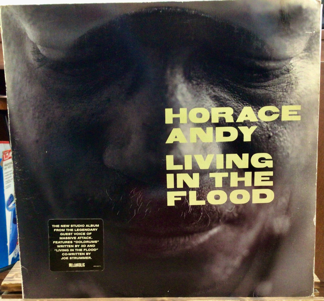 Horace Andy – Living In The Flood