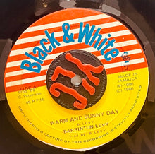 Cargar imagen en el visor de la galería, Barrington Levy – Warm And Sunny Day
