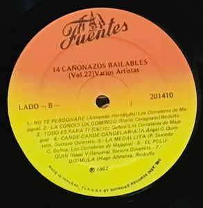 Various – 14 Cañonazos Bailables Vol. 22