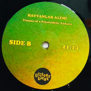 Hayvanlar Alemi – Visions Of A Psychedelic Ankara