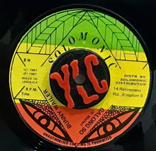 Cargar imagen en el visor de la galería, Bunny Wailer – Galong So
