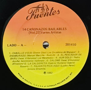 Various – 14 Cañonazos Bailables Vol. 22