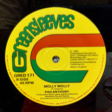 Cargar imagen en el visor de la galería, Pad Anthony – Respect Due / Molly Molly
