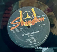 Cargar imagen en el visor de la galería, Junior Delgado – Stranger
