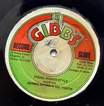 Cargar imagen en el visor de la galería, Dennis Brown &amp; Big Youth / Joe Gibbs &amp; The Professionals – Equal Rights Style / Justice &amp; Rights

