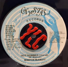 Cargar imagen en el visor de la galería, Winston McAnuff – Hot Number
