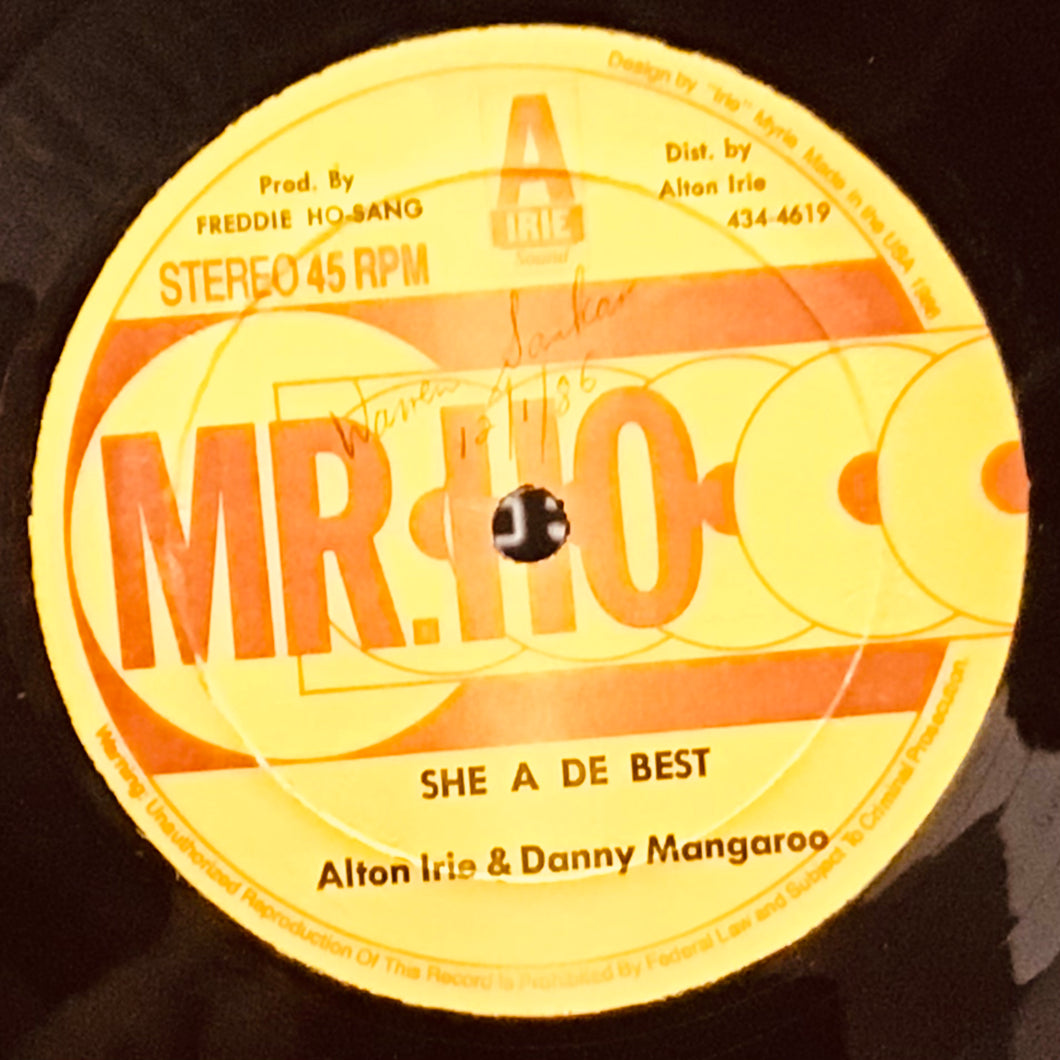Alton Irie & Danny Mangaroo – She A Di Best