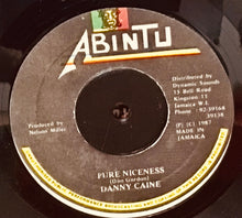 Cargar imagen en el visor de la galería, Danny Caine – Pure Niceness
