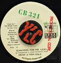 Cargar imagen en el visor de la galería, Brian &amp; Tony Gold – Searching For The Light
