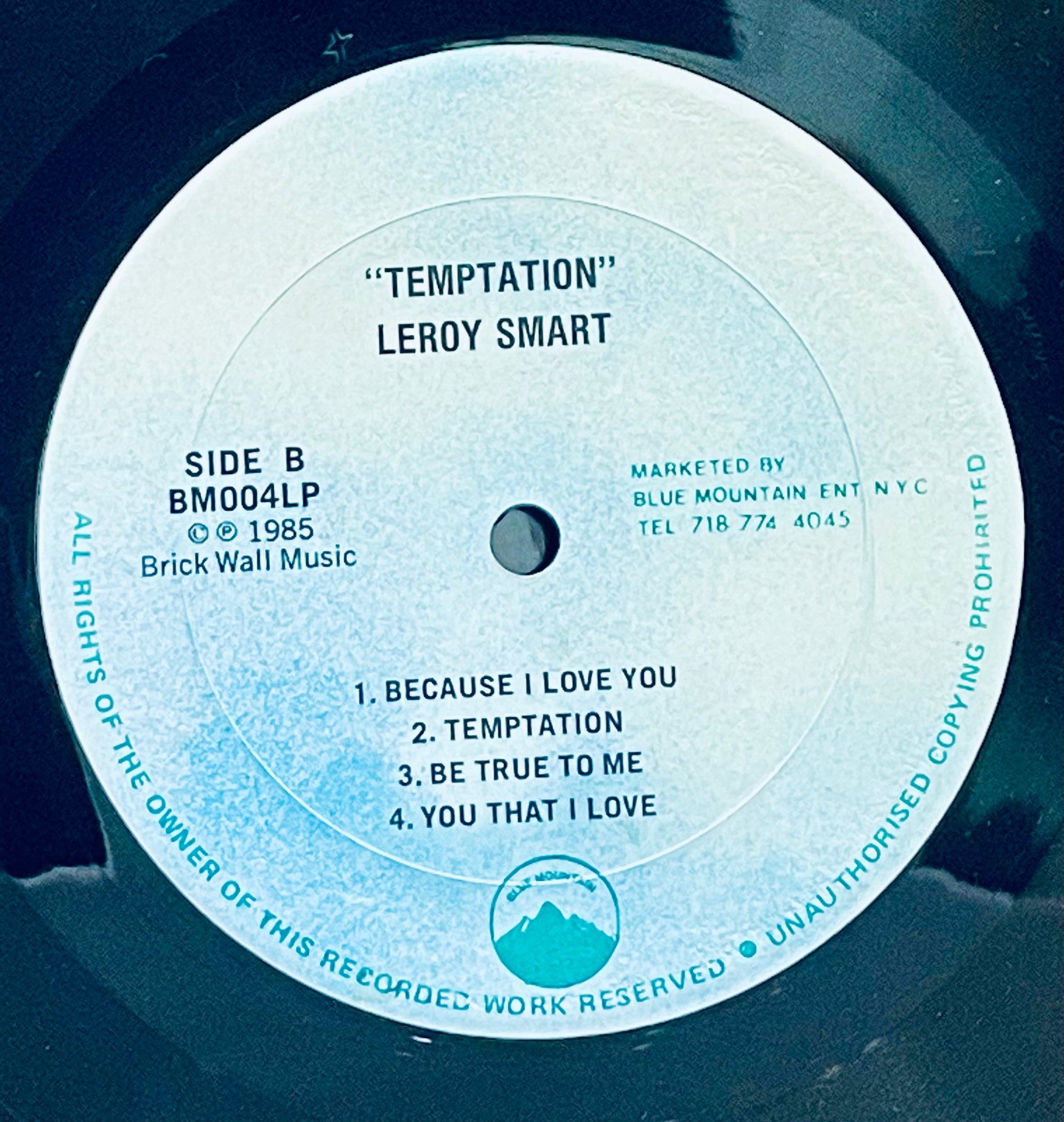 Leroy Smart Temptation レコード　lp Leroy Smart Temptation レコードlp