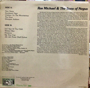 Ras Michael & The Sons Of Negus – Rally Round