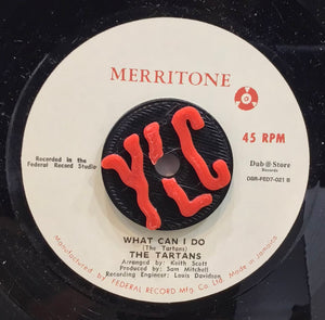 The Tartans – Dance All Night / What Can I Do