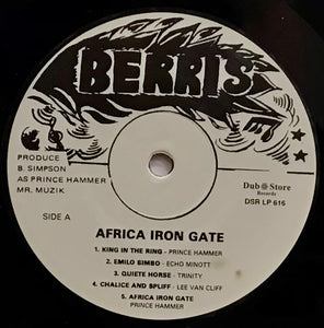 Various – Africa Iron Gate Showcase