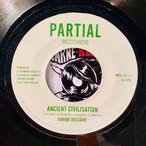 Junior Delgado – Ancient Civilisation / Faya Dubplate Mix