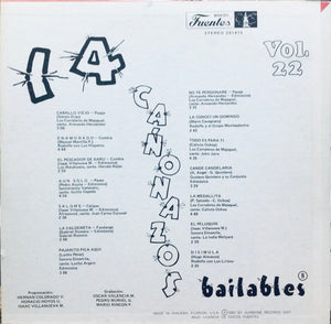 Various – 14 Cañonazos Bailables Vol. 22