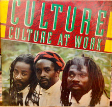 Cargar imagen en el visor de la galería, Culture – Culture At Work
