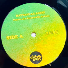 Cargar imagen en el visor de la galería, Hayvanlar Alemi – Visions Of A Psychedelic Ankara
