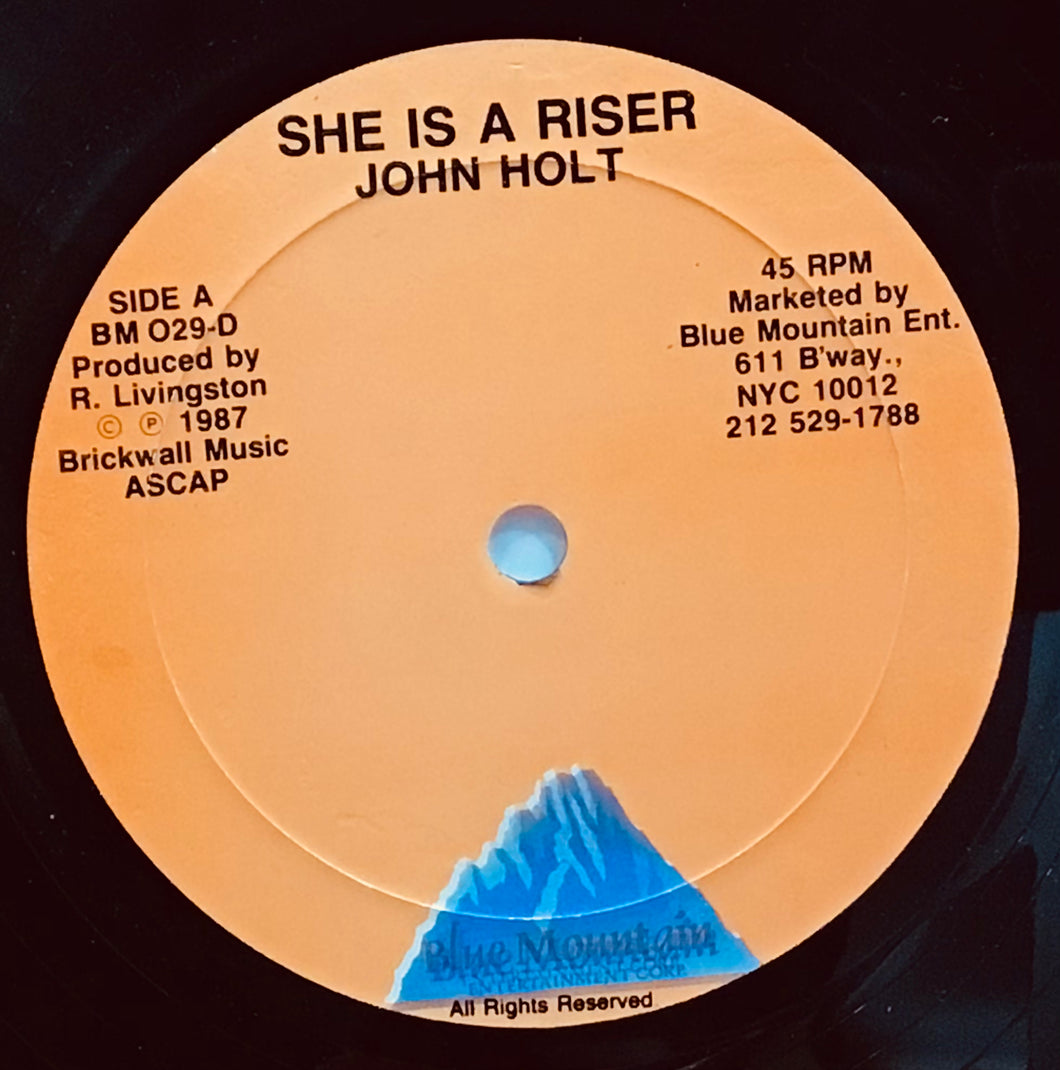 John Holt – She Is A Riser