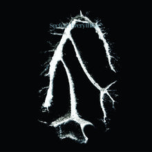 Cargar imagen en el visor de la galería, Seefeel – Everything Squared Vinyl
