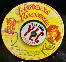 Cargar imagen en el visor de la galería, Bingie Bunny – Young Lover
