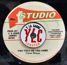 Cargar imagen en el visor de la galería, Trevor Wilson - You Told Me You Care / Ananias
