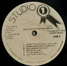 Cargar imagen en el visor de la galería, Horace Andy – Skylarking
