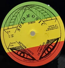 Cargar imagen en el visor de la galería, Bunny Wailer – Galong So
