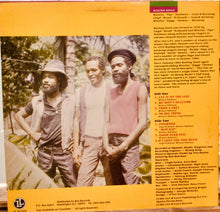 Cargar imagen en el visor de la galería, Wailing Souls – Lay It On The Line
