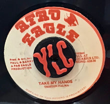 Cargar imagen en el visor de la galería, Triston Palma– Take My Hands
