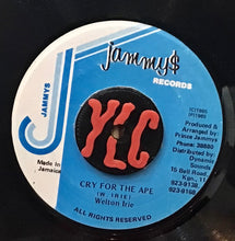Cargar imagen en el visor de la galería, Welton Irie – Cry For The Ape
