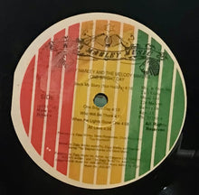 Cargar imagen en el visor de la galería, Ziggy Marley And The Melody Makers – One Bright Day
