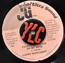 Cargar imagen en el visor de la galería, Danny Mangaroo – Thousand Things On My Mind
