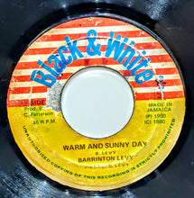 Cargar imagen en el visor de la galería, Barrington Levy – Warm And Sunny Day
