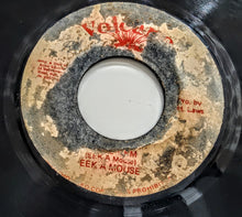 Cargar imagen en el visor de la galería, Eek A Mouse – Wa Do Dem
