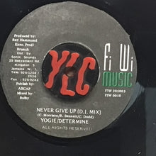 Cargar imagen en el visor de la galería, Yogie &amp; Determine – Never Give Up

