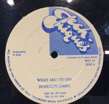 Cargar imagen en el visor de la galería, Hopeton James - What am I to Do
