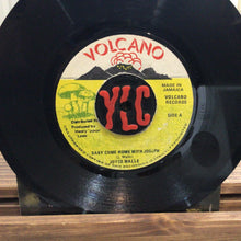 Cargar imagen en el visor de la galería, Joyce Walle – Baby Come Home With Joseph
