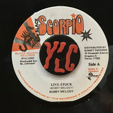 Cargar imagen en el visor de la galería, Bobby Melody – Live Stock
