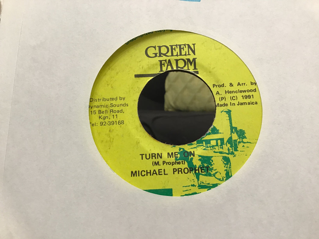 Michael Prophet - Turn me on