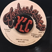 Cargar imagen en el visor de la galería, Malibu – Dream Lover
