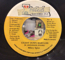 Cargar imagen en el visor de la galería, Mikey Spice - Chant Down Babylon
