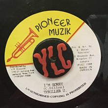 Cargar imagen en el visor de la galería, Thriller U – I'm Sorry

